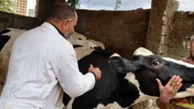 انطلاق فعاليات الحملة القومية للتحصين ضد الحمى القلاعية بالبحيرة (صور)