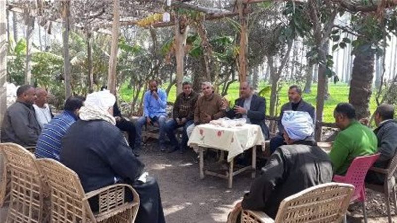 تنفيذ مدرسة حقلية