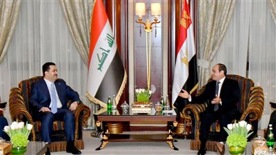 مصر والعراق تبحثان سبل تعزيز التنسيق العربي المشترك لحماية أمن الدولة العربية