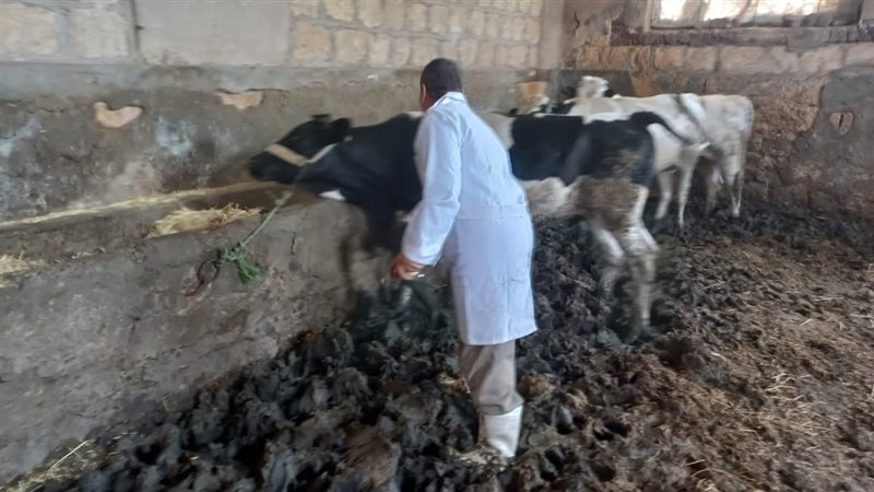 مديرية الطب البيطري