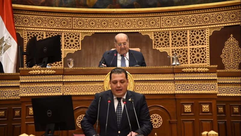 الجلسة العامة لمجلس
