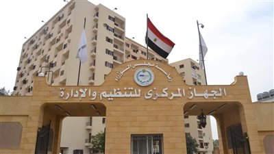  التنظيم والإدارة ومجلس الخدمة الاتحادي بالعراق يبحثان تعزيز التعاون