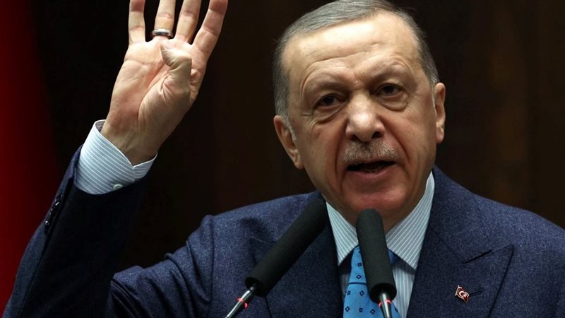 أردوغان، فيتو 