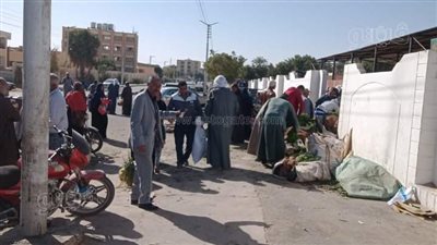 حملة مكبرة لإزالة الإشغالات بأسواق الشعلة بالوادي الجديد