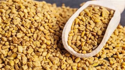تفسير حلم الحلبة في المنام وعلاقته بشفاء المريض وزوال الهموم والمتاعب 