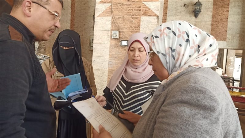 حملة مكبرة في الإسكندرية،