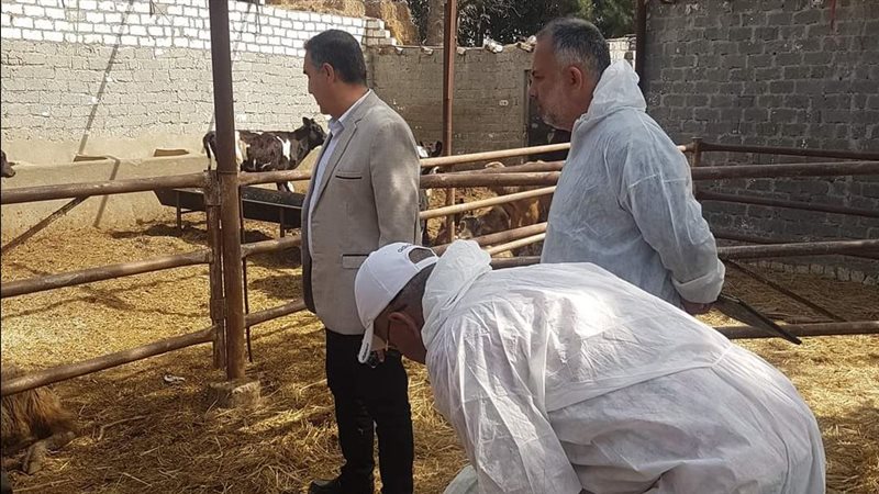 جانب من متابعة أعمال