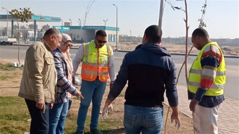 حملة تشجير بمحافظة