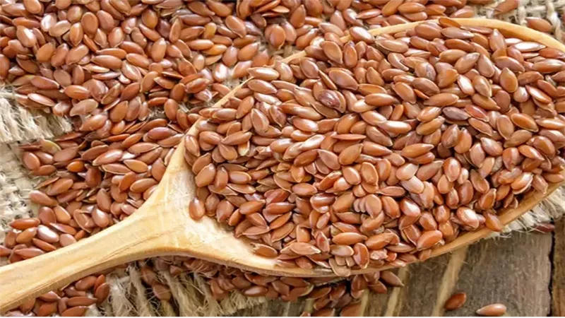 حب الرشاد، فيتو 