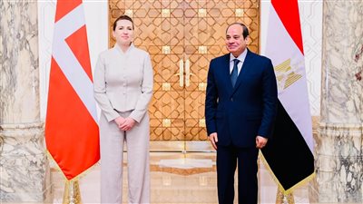 سد النهضة والحرب الروسية الأوكرانية يتصدران المباحثات المصرية الدنماركية 
