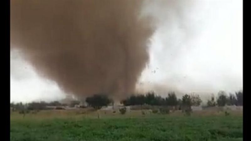 اعصار الطائقف، فيتو