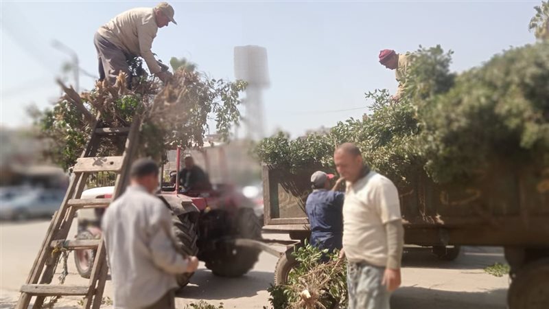 حملات نظافة بشوارع