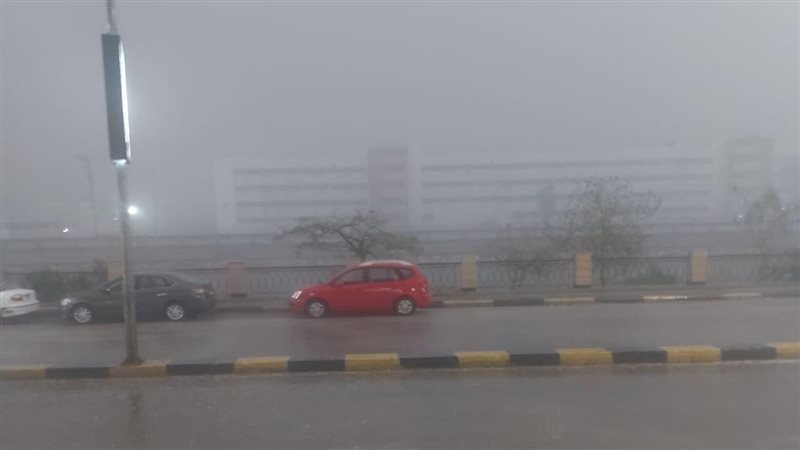حالة الطقس، فيتو