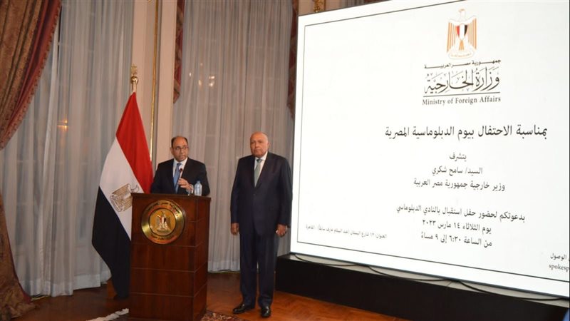 سامح شكري وزير الخارجية