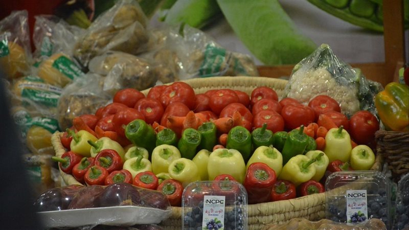 أسعار الخضار في معرض