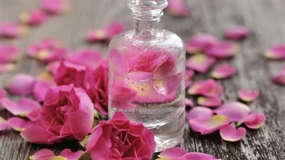 txt