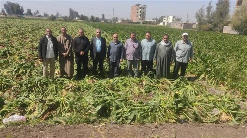 يوم حقلي عن حصاد