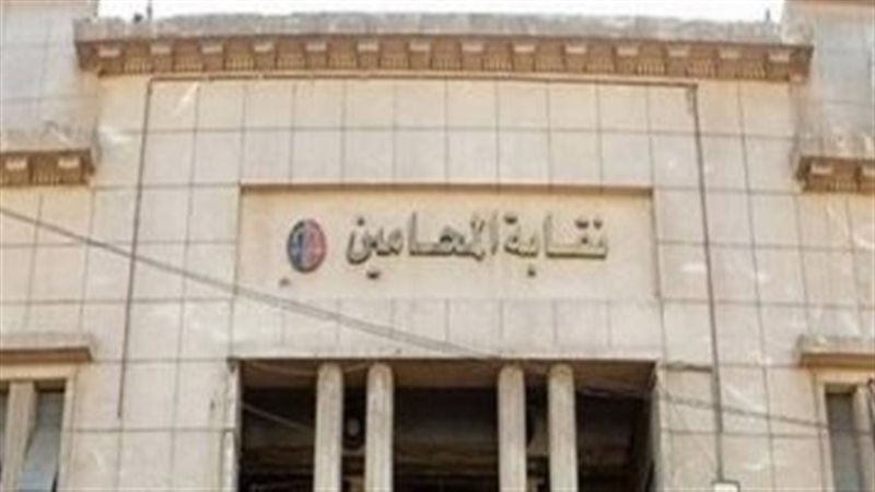 نقابة المحامين،فيتو
