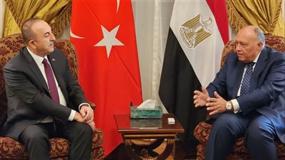الإعداد لاجتماع بين السيسي وأردوغان.. تفاصيل لقاء سامح شكري وأوغلو 