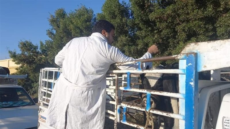 جانب من الحملة القومية