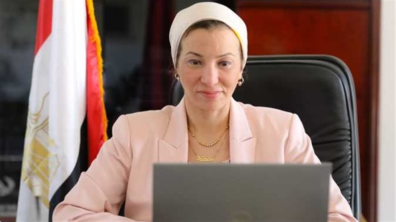 ياسمين فؤاد وزيرة