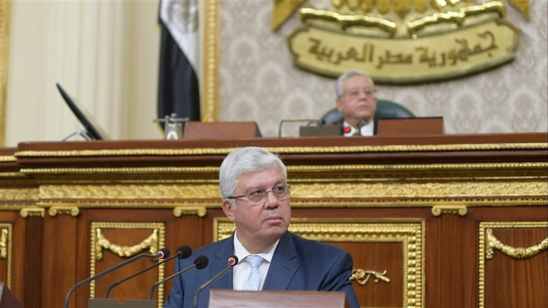 الدكتور أيمن عاشور