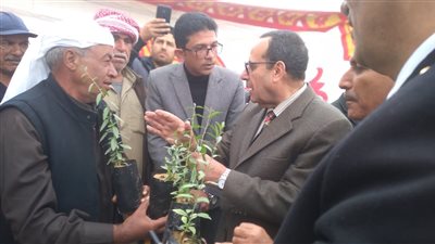 الزراعة توزع 10 آلاف شتلة لوز على مزارعي سيناء