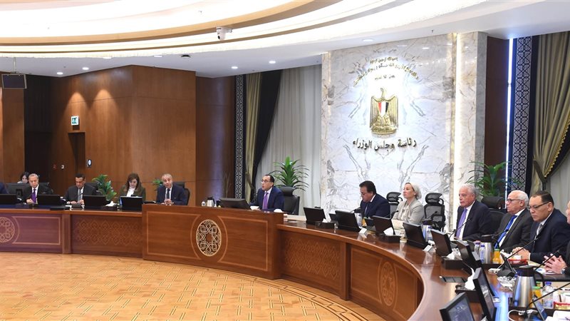 مجلس الوزراء، فيتو