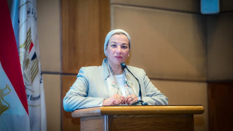 ياسمين فؤاد وزيرة