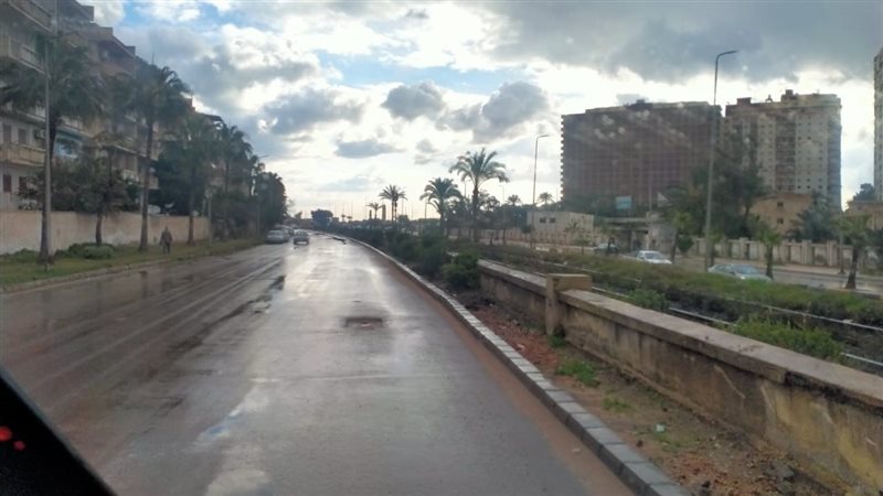 حالة الطقس غدا، فيتو