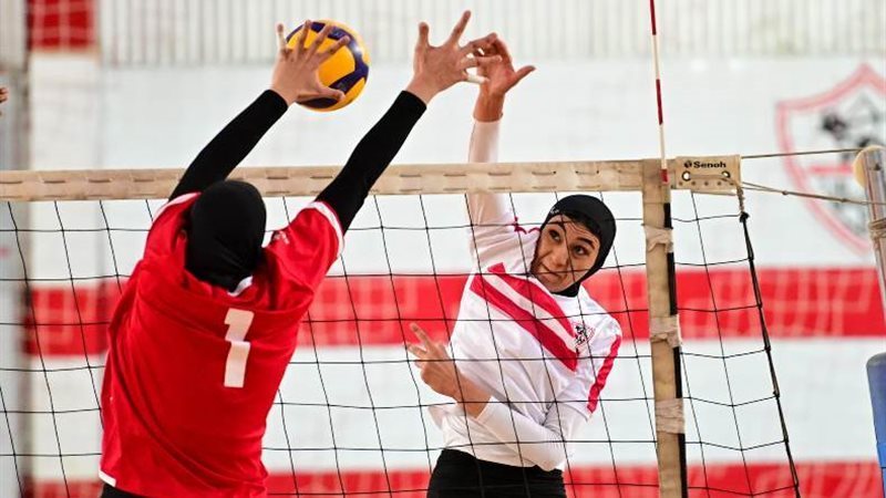 دوري الكرة الطائرة
