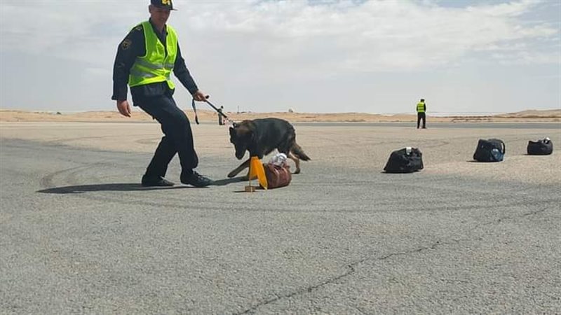 تجربة طوارئ،فيتو