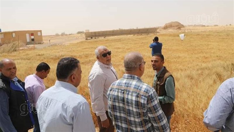 الزملوط يتفقد أحد