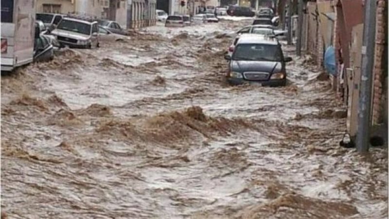 الأردن، فيتو 