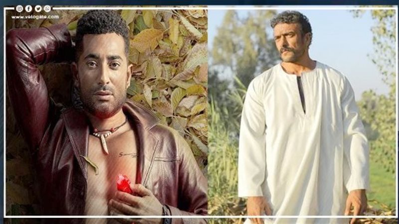 العوضي وعمرو سعد،