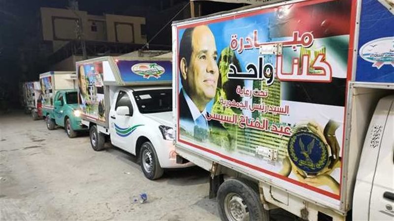 مبادرة كلنا واحد،فيتو