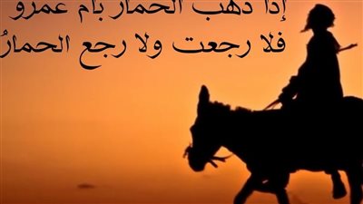 قطايف رمضان.. نوادر المعلمين وحكاية حمار أم عمرو 