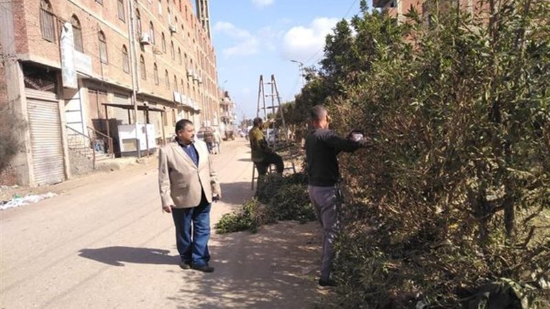 تكثيف الجهود اليومية