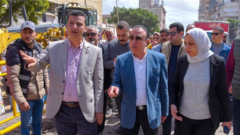 محافظ الإسكندرية،فيتو