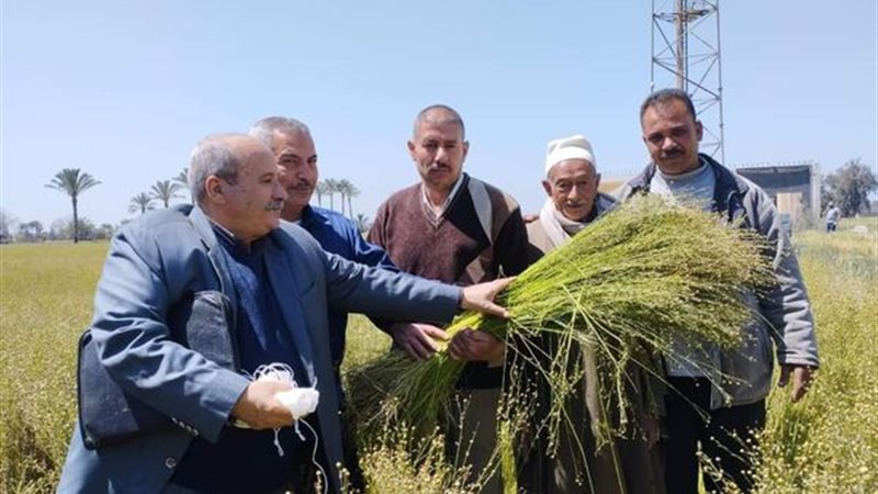  تنفيذ يوم حصاد لمحصول