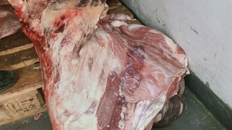 حملات رقابية بمحافظة