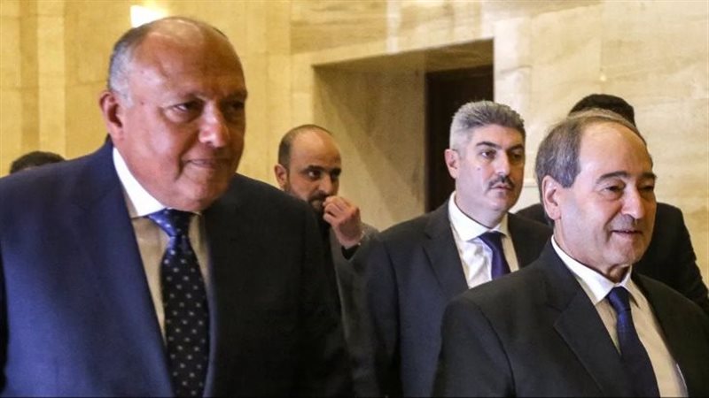 وزيري الخارجية المصري