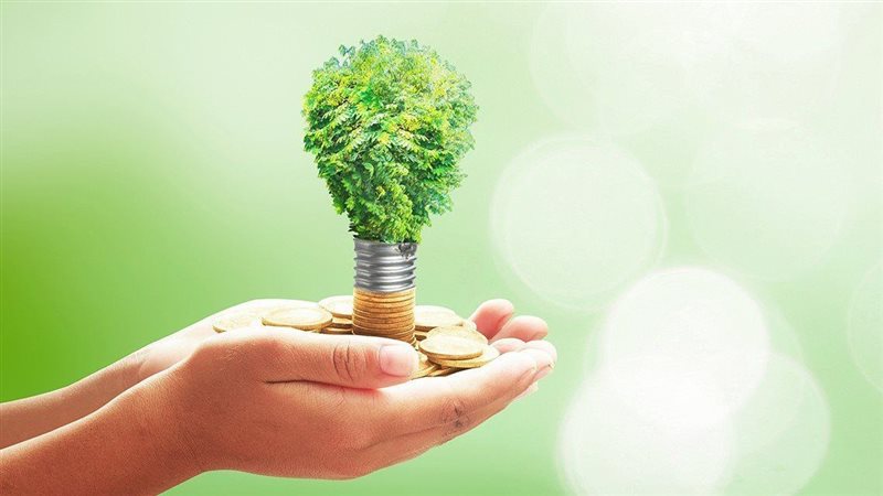 المشروعات الخضراء،