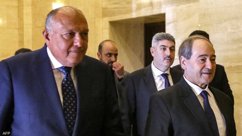 وزيرا الخارجية المصري