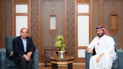نشرة الأخبار، مباحثات بين السيسي وبن سلمان، اختناق 14 طفلا بحمام سباحة، القبض على فتاة سقارة، حكايات ميس حمدان مع التحرش 