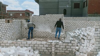 تواصل حملات إزالة التعديات على أراضي الدولة والزراعية بالإسكندرية 