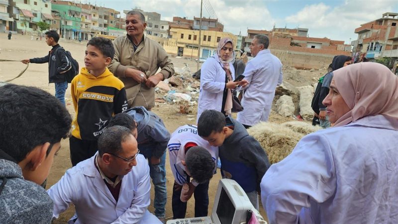 المسح التناسلي والتلقيح