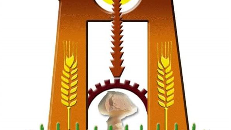 إنشاء وحدات التشخيص