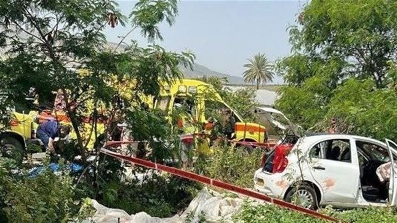 غور الأردن، فيتو