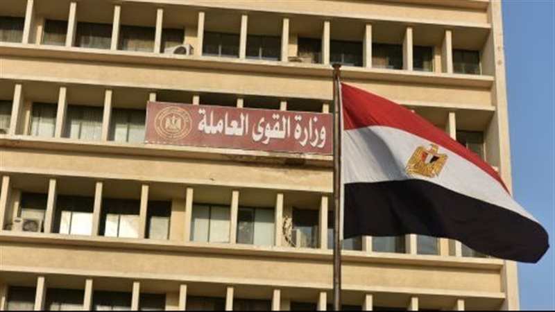 وزارة القوى العاملة،فيتو